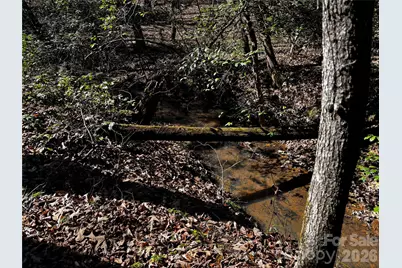 1467 Graycrest Drive, Catawba, NC 28609 - Photo 10