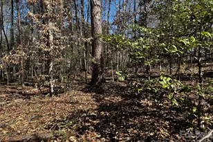 1467 Graycrest Dr, Catawba, NC 28609 - Photo 18