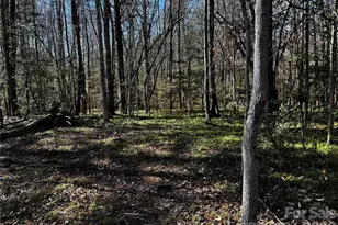 1467 Graycrest Dr, Catawba, NC 28609 - Photo 8