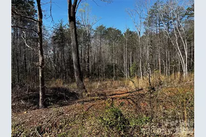 1467 Graycrest Drive, Catawba, NC 28609 - Photo 2