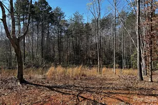 1467 Graycrest Dr, Catawba, NC 28609 - Photo 22