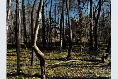 1467 Graycrest Drive, Catawba, NC 28609 - Photo 12