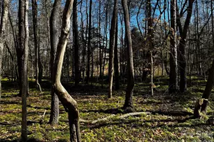 1467 Graycrest Dr, Catawba, NC 28609 - Photo 12