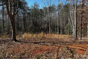 1467 Graycrest Dr, Catawba, NC 28609 - Photo 1