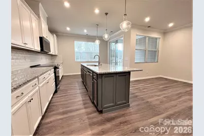 16628 Summers Walk Boulevard, Davidson, NC 28036 - Photo 2