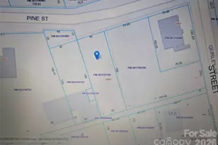 1205 Pine St, Kannapolis, NC 28081 - Photo 4