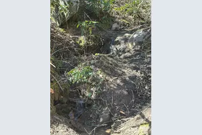 12 Chigger Ridge Road, Sylva, NC 28779 - Photo 4