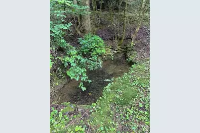 0 Mountain Forest Estates Road, Sylva, NC 28779 - Photo 18