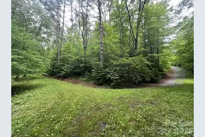 0 Mountain Forest Estates Road, Sylva, NC 28779 - Photo 20