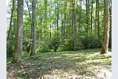 0 Mountain Forest Estates Road, Sylva, NC 28779 - Photo 16
