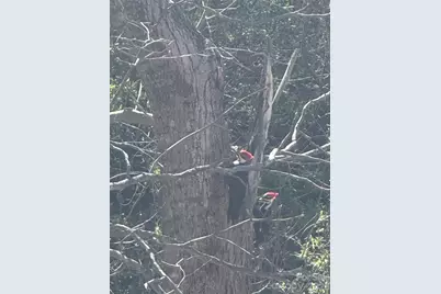 46 Carden Drive #10, Weaverville, NC 28787 - Photo 42