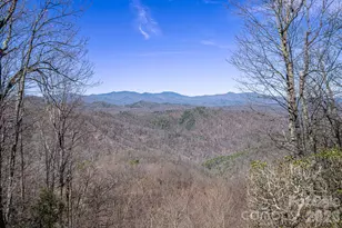 192 Woodruff Ln, Black Mountain, NC 28711 - Photo 6