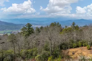 770 Dream Weaver Dr, Penrose, NC 28766 - Photo 14