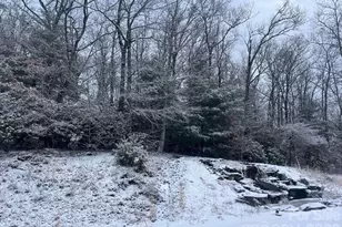 770 Dream Weaver Dr, Penrose, NC 28766 - Photo 38