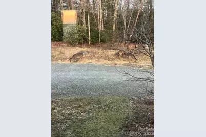 770 Dream Weaver Drive, Penrose, NC 28766 - Photo 36