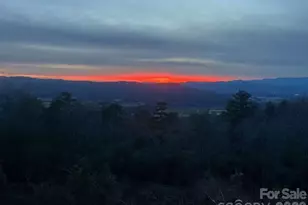 770 Dream Weaver Dr, Penrose, NC 28766 - Photo 40