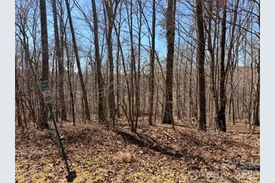 659 Bent Creek Drive #35, Nebo, NC 28761 - Photo 8