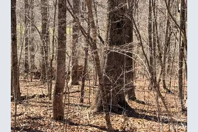 659 Bent Creek Drive #35, Nebo, NC 28761 - Photo 4