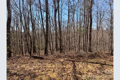 659 Bent Creek Drive #35, Nebo, NC 28761 - Photo 6