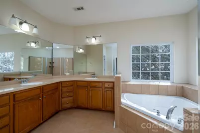 10123 Newtonmore Drive, Charlotte, NC 28278 - Photo 30