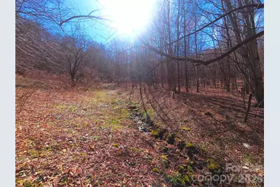 250 Rome Beauty Road #TR5, Waynesville, NC 28785 - Photo 18