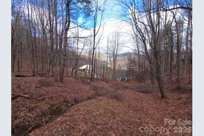 250 Rome Beauty Road #TR5, Waynesville, NC 28785 - Photo 12