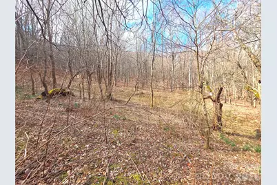 250 Rome Beauty Road #TR5, Waynesville, NC 28785 - Photo 10