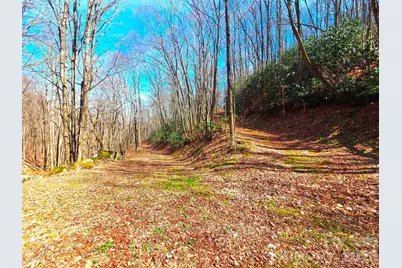 250 Rome Beauty Road #TR5, Waynesville, NC 28785 - Photo 28