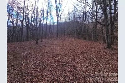 250 Rome Beauty Road #TR5, Waynesville, NC 28785 - Photo 22