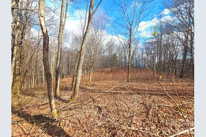 250 Rome Beauty Road #TR5, Waynesville, NC 28785 - Photo 8