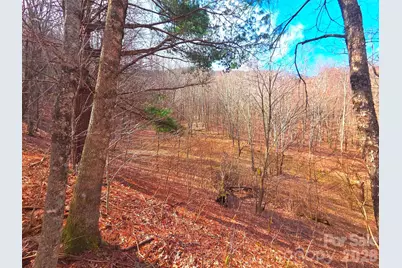 250 Rome Beauty Road #TR5, Waynesville, NC 28785 - Photo 1