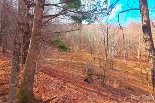 250 Rome Beauty Rd, Waynesville, NC 28785 - Photo 1