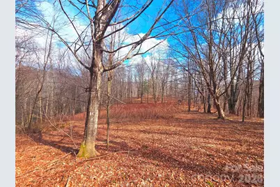 250 Rome Beauty Road #TR5, Waynesville, NC 28785 - Photo 16