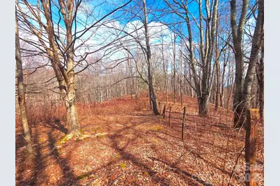 250 Rome Beauty Road #TR5, Waynesville, NC 28785 - Photo 2