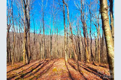 250 Rome Beauty Road #TR5, Waynesville, NC 28785 - Photo 30