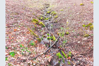 250 Rome Beauty Road #TR5, Waynesville, NC 28785 - Photo 4