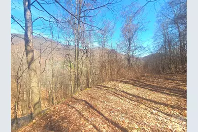 1200 Chestnut Flats Lane #138, Waynesville, NC 28786 - Photo 1