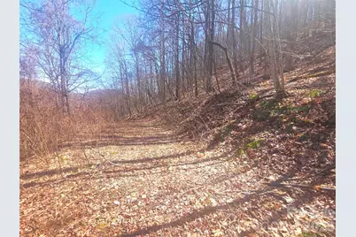 1200 Chestnut Flats Lane #138, Waynesville, NC 28786 - Photo 12