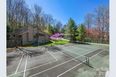 14 Cedarwood Drive, Asheville, NC 28803 - Photo 30