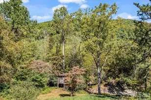 119 Mountain Bluff Trail, Hendersonville, NC 28792 - Photo 34