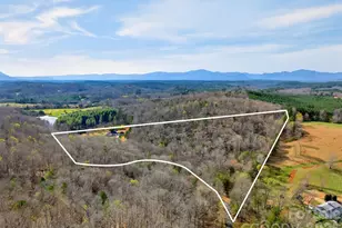 300 Springhill Dr, Rutherfordton, NC 28139 - Photo 38