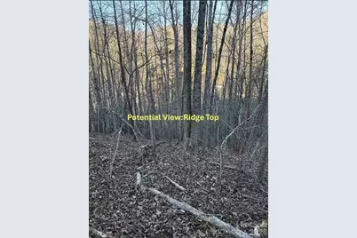 70 Earls Road, Bryson City, NC 28713 - Photo 16