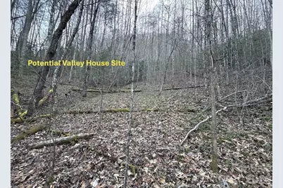 70 Earls Road, Bryson City, NC 28713 - Photo 6