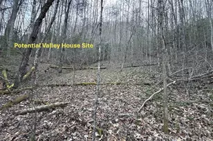 70 Earls Rd, Bryson City, NC 28713 - Photo 6