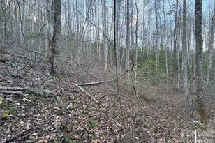 70 Earls Rd, Bryson City, NC 28713 - Photo 16