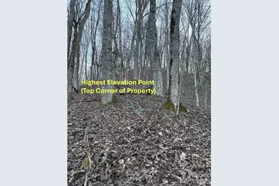 70 Earls Road, Bryson City, NC 28713 - Photo 18