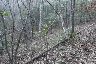 70 Earls Rd, Bryson City, NC 28713 - Photo 12