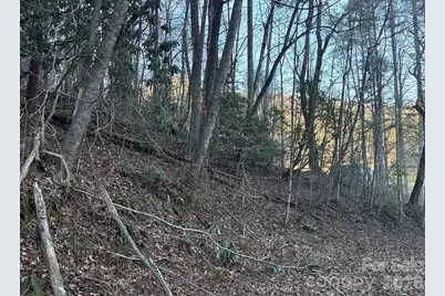 70 Earls Road, Bryson City, NC 28713 - Photo 12