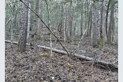 70 Earls Road, Bryson City, NC 28713 - Photo 14