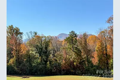 979 Howard Gap Road, Tryon, NC 28782 - Photo 14